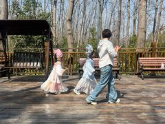 -合肥滨湖国家森林公园