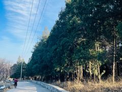 -阳台山自然风景区