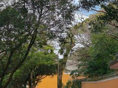 -普陀山慧济禅寺