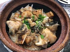 -红星光发煲仔饭(大石街店)