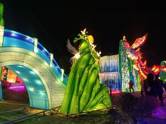 -长春市南湖公园