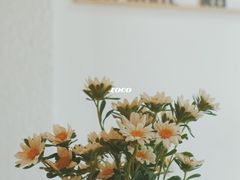 -Cafe on warm(丹霞店)
