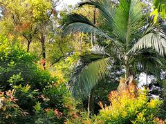 -人民公园(罗湖区)