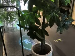 -新紫霞养生·影院足道·SPA(金山区店)