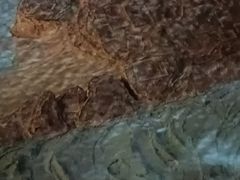 -白鹤梁水下博物馆