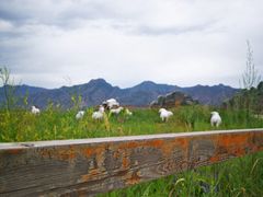 -敕勒川草原文化旅游区