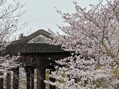 -广富林郊野公园