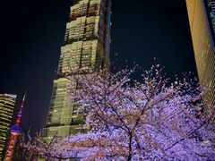-上海中心大厦