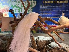 -正佳雨林生态植物园