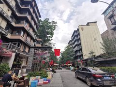 -泡桐树街