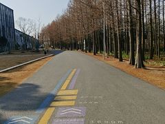 -上海长兴岛郊野公园