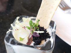 -The Lounge大堂酒廊·咖啡·沙拉·下午茶(金茂深圳JW万豪酒店)