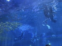 -西安华夏文旅水世界