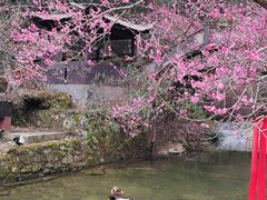 -车溪民俗旅游区