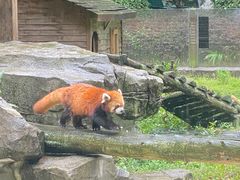 -黔灵山公园