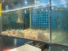 -杨记海鲜楼(三门黑金冠店)