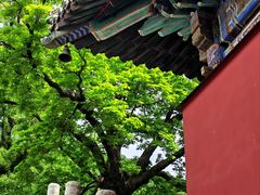 -潭柘寺景区