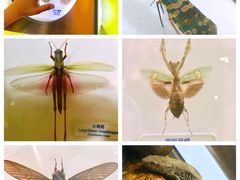 -香港科学馆