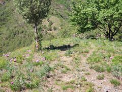 -北京鹫峰国家森林公园