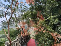 -荔江湾景区