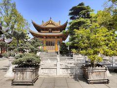 -上海东林寺(金山区)