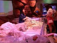 -沈阳海洋探索中心