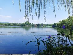 -苏堤停车场