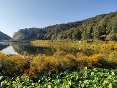 -广州市石门国家森林公园