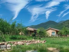 -石台牯牛降景区