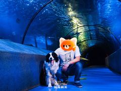 -太平洋海底世界