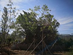 -北京市八达岭人民公墓