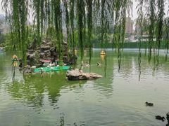 -团结湖公园