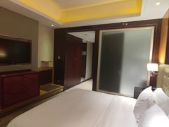 -成都明宇丽雅饭店