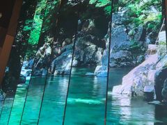 -桂满陇·海市蜃楼·黑金(国金店)