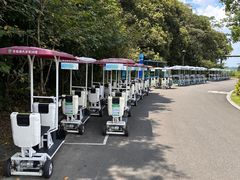 -东钱湖小普陀景区