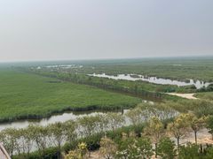 -南大港湿地风景区