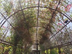 -The Grounds of Alexandria