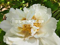 -仁和公园(顺义区)