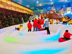 -世界之窗阿尔卑斯冰雪世界