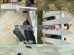 -湖南湘都生态农业园