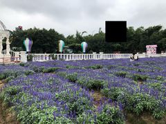 -广州花之恋城堡酒店