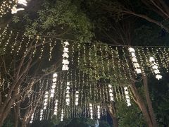 -淹城春秋乐园