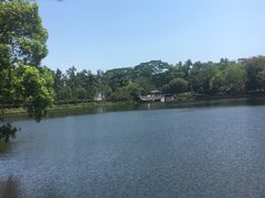 -大屏嶂森林公园