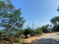 -广东惠东海龟国家级自然保护区