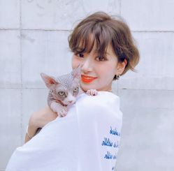 -SY COLOUR专业烫染