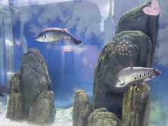 -常州海昌海洋探索馆