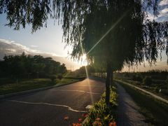 -洨河生态公园
