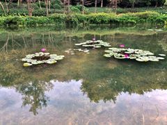 -云溪植物园