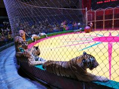 -西安秦岭野生动物园