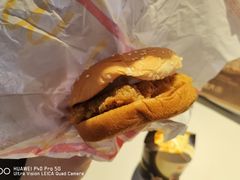 咸蛋黄鸡腿蛋月堡-麦当劳(文化西路店)
